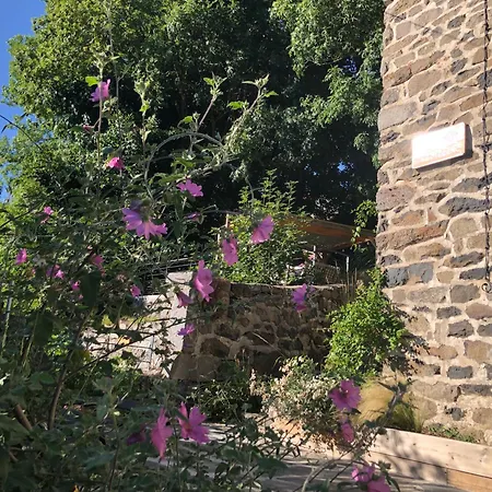 L'oree Du Mezenc Et Son Bain Nordique Privatif *